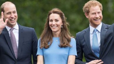 Prince Harry Heartbroken As Prince William And Kate Middleton Reject Diana Reunion