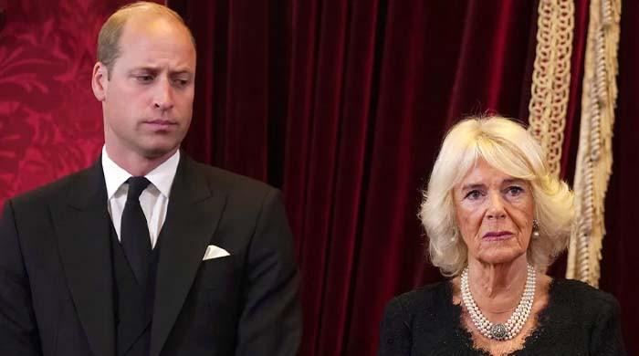 Prince William Secretly Plots To Remove Queen Camilla From Power After King Charles