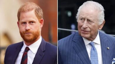 Prince Harry and King Charles Drop Big Hint About Royal Future Amid Secret Peace Talks