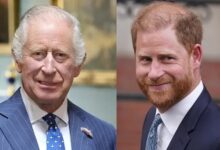 Prince Harry Finally Meets King Charles Face to Face After Months of Silence