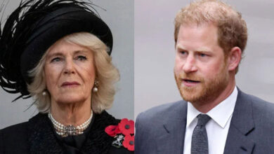 Queen Camilla Refuses to Forgive Prince Harry as Royal Rift Deepens