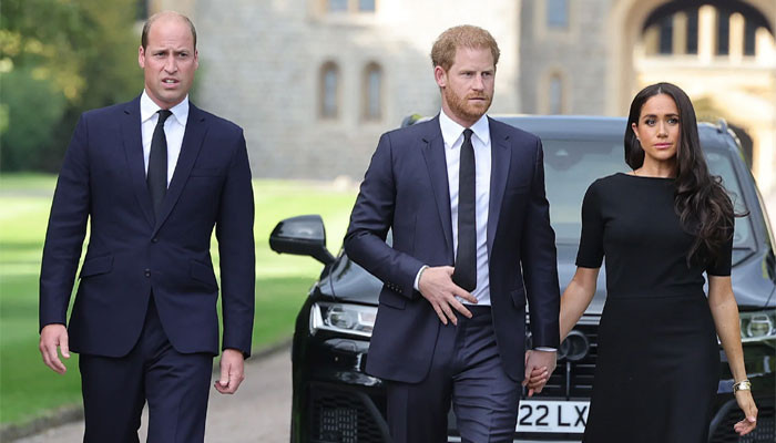 Prince William’s Surprise Move Reportedly Leaves Meghan Markle and Prince Harry Furious