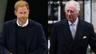 Prince Harry’s Shocking Accusation of Palace Sabotage Leaves King Charles Saddened and Perplexed
