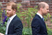 Prince William Furious as Prince Harry’s Return Sparks Tensions With King Charles