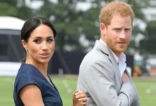 Prince Harry Shocks Fans With Netflix Picks While Meghan Markle Expands Royal Hollywood Empire
