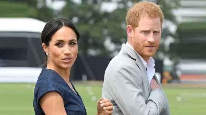 Prince Harry Shocks Fans With Netflix Picks While Meghan Markle Expands Royal Hollywood Empire