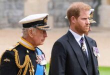 Prince Harry’s Shocking Move Stuns Royal Fans as He Apologizes to King Charles in Emotional Reunion