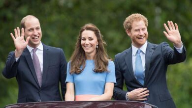 Prince Harry Sparks Tension as Kate Middleton and Prince William Reach Breaking Point Over Family Drama