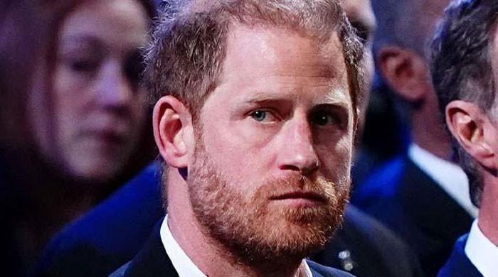 Prince Harry Slammed as Alternative Royal After Shocking King Charles Meeting