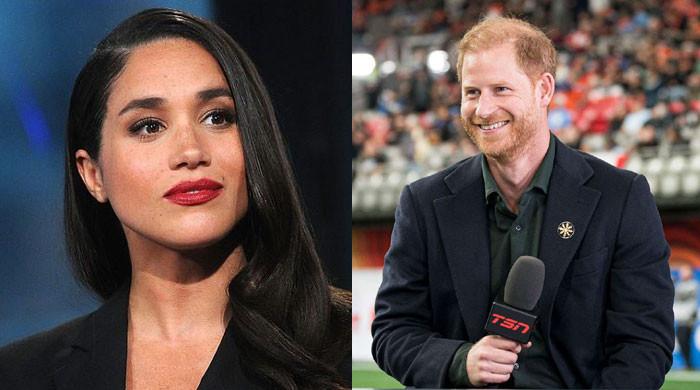 Experts Claim Prince Harry and Meghan Markle Are Trying to Replace King Charles and Prince William