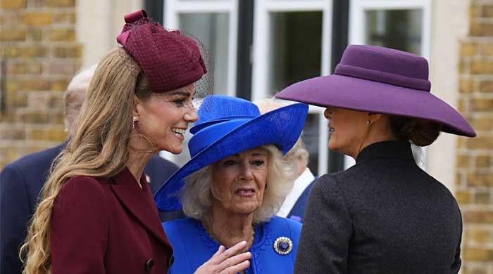 Meghan Markle Fans Mock Kate Middleton and Queen Camilla After Awkward Trump Visit Moment Goes Viral