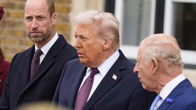 Donald Trump Sparks Firestorm Over Royal Protocol After Touching King Charles and Prince William at Windsor Castle