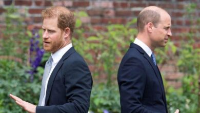 Prince William Moves to Exile Prince Harry Forever as King Charles Faces Emotional Pleas