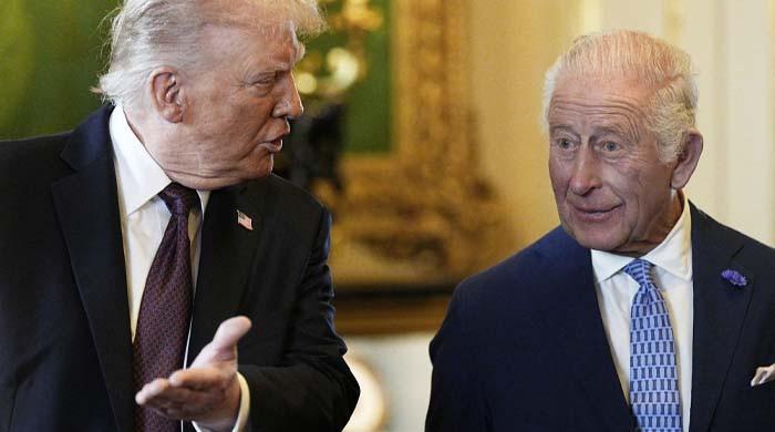 Donald Trump Believes King Charles Can Wipe Away His Scandals With Royal Spotlight