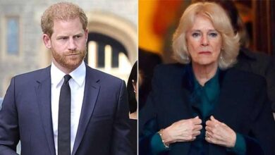 Queen Camilla’s Secret Wish About Prince Harry Sparks Major Royal Debate