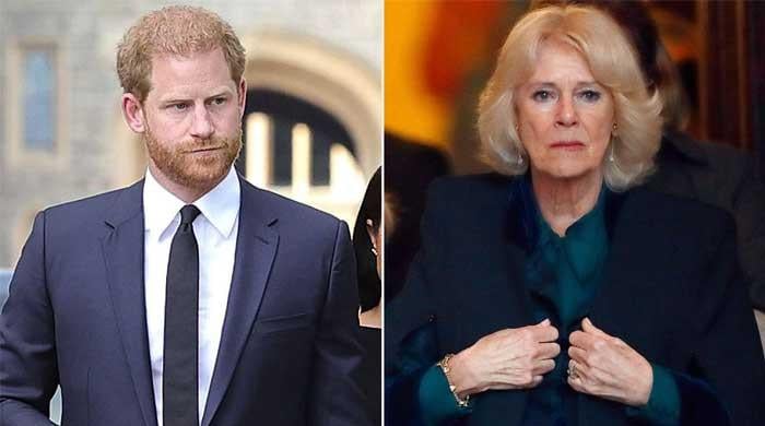 Queen Camilla’s Secret Wish About Prince Harry Sparks Major Royal Debate