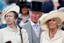 Princess Anne’s Secret Feud With Queen Camilla Exposed as Royal Tensions Erupt