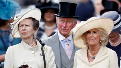 Princess Anne’s Secret Feud With Queen Camilla Exposed as Royal Tensions Erupt