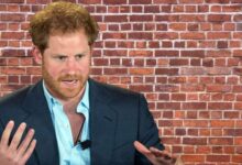 Prince Harry Slammed for Destroying Royal Peace Talks with Explosive Memoir Remarks