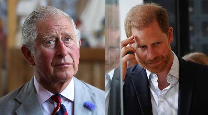 Prince Harry Told to Face His Emotional Baggage Before King Charles Can Truly Forgive Him