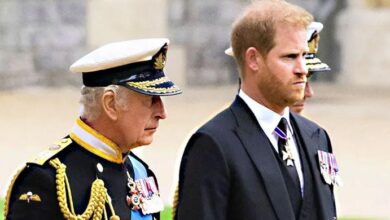 King Charles Stuns Prince Harry With Unexpected Twist During Reunion