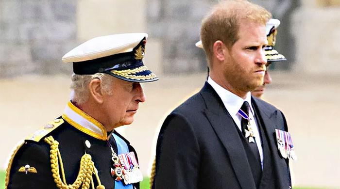 King Charles Stuns Prince Harry With Unexpected Twist During Reunion
