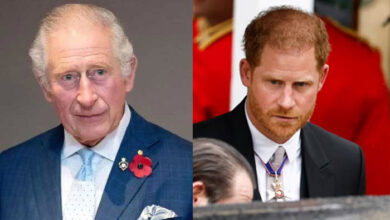 Prince Harry Leaves King Charles Stunned with Shocking Accusations of Sabotage