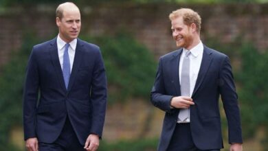 Prince Harry Caught Off Guard as Court Case Unexpectedly Pulls Prince William and Kate Middleton into Scandal