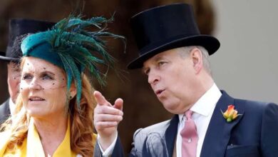 Prince Andrew and Sarah Ferguson’s Desperate Plan to Clear Their Names Could Explode in Their Faces