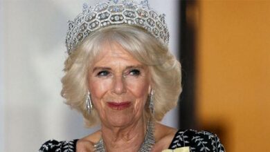 Queen Camilla Stunned by Heartbreaking News Amid Royal Tensions