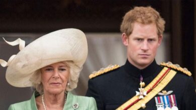 Prince Harry’s Shovking Claims About Queen Camilla Exposed by Former Royal Butler
