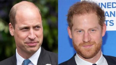 Prince William Reportedly Warns King Charles After Explosive Prince Harry Reunion