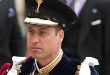 Prince William’s Part Time Monarchy Vision Sparks Shockwaves Inside the Palace