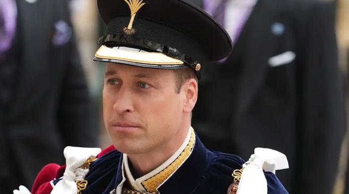 Prince William’s Part Time Monarchy Vision Sparks Shockwaves Inside the Palace