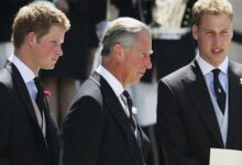 Prince Harry Breaks Silence After King Charles and Prince William’s Powerful United Message