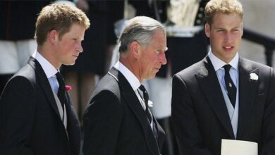Prince Harry Breaks Silence After King Charles and Prince William’s Powerful United Message