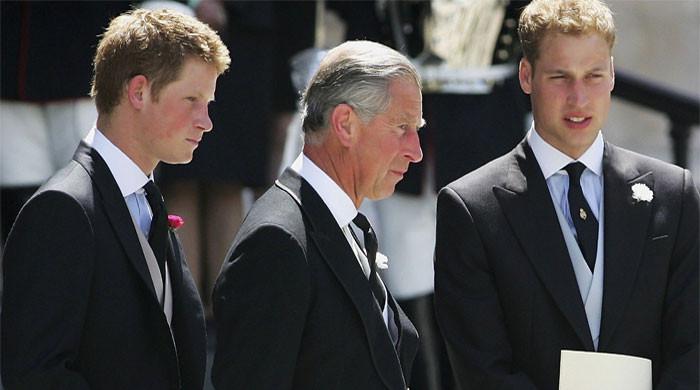 Prince Harry Breaks Silence After King Charles and Prince William’s Powerful United Message