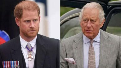 Prince Harry’s Bold Move Blindsides King Charles and Sparks Family Storm