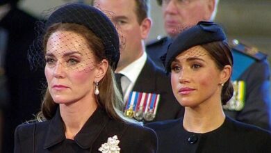 Kate Middleton Hailed as ‘Diana Without the Drama’ While Meghan Markle Faces Criticism for Stirring Royal Tensions