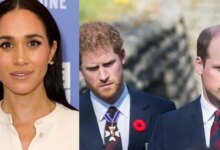 Prince William and Prince Harry Furious After Meghan Markle Paris Video Near Princess Diana Crash Site