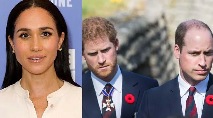 Prince William and Prince Harry Furious After Meghan Markle Paris Video Near Princess Diana Crash Site