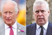 Shocking Warning from King Charles to Prince Andrew Revealed Before Stunning Agreement