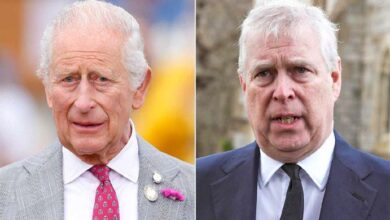 Shocking Warning from King Charles to Prince Andrew Revealed Before Stunning Agreement