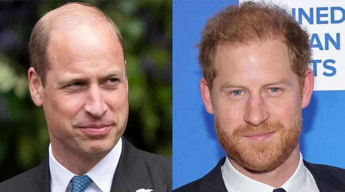 Prince William Moves To Tear Away Meghan Markle and Prince Harry’s Royal Titles
