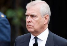 Prince Andrew Hit With Devastating Final Blow That Erases What Little Was Left of His Public Life