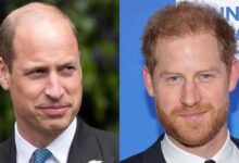 Prince William Stuns Royal Watchers With Harsh Ultimatum Before Agreeing to Meet Prince Harry
