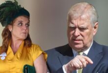 Prince William Secretly Prepares to Banish Prince Andrew Forever as King Charles Steps Aside