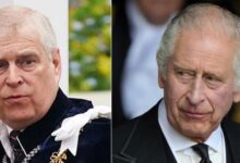 Prince Andrew’s Property Battle with King Charles Exposes Hidden Secrets of the Royal Lodge