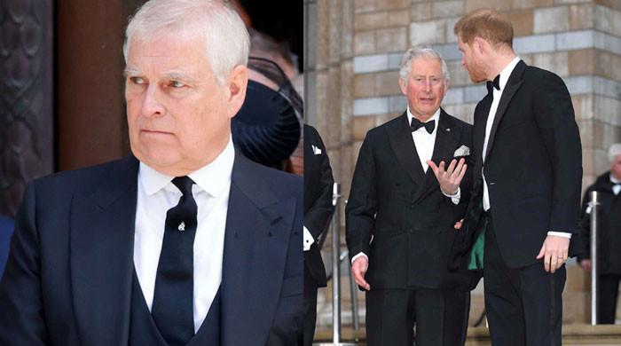 Prince Andrew Crisis Sparks Rift Between King Charles and Prince Harry
