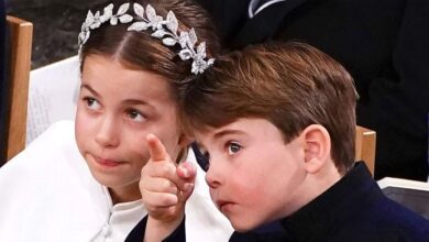 Princess Charlotte and Prince Louis Face a Future Without Royal Jobs Under Prince William